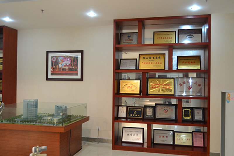 Company Qualification