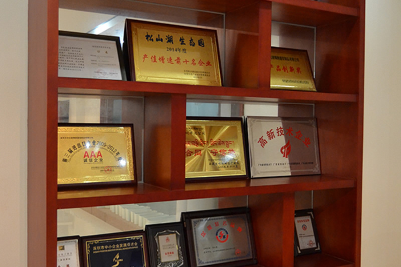 Company Qualification